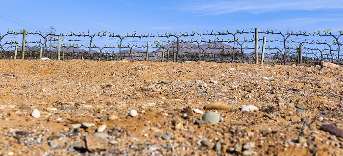 Ventisquero desert vineyard 2 resize